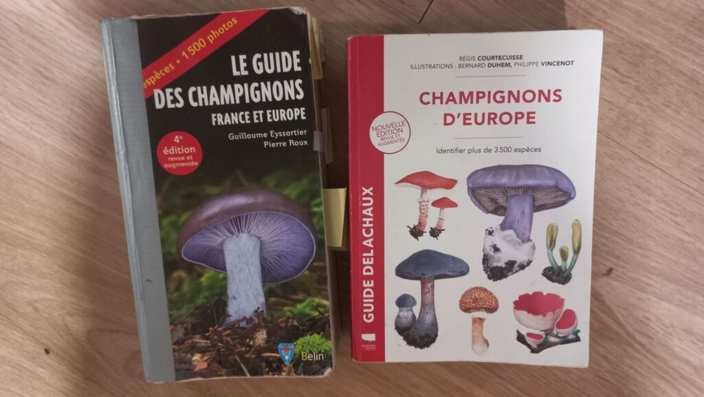 Les Chaffault